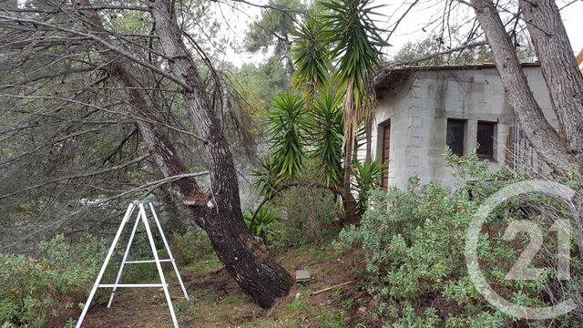 Afficher la photo en grand terrain à vendre - 3764.0 m2 - COLOMARS - 06 - PROVENCE-ALPES-COTE-D-AZUR - Century 21 Lafage Transactions