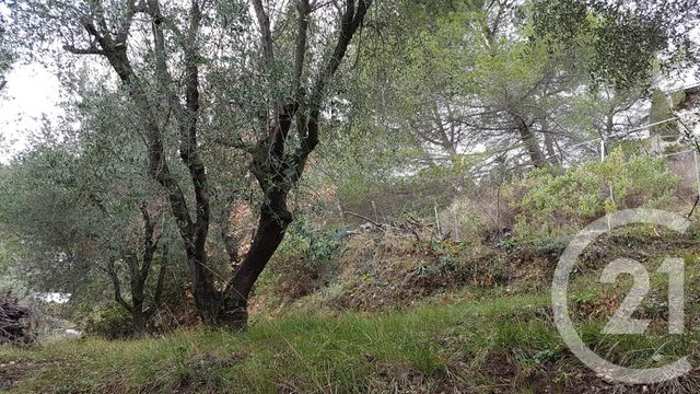 Afficher la photo en grand terrain à vendre - 3764.0 m2 - COLOMARS - 06 - PROVENCE-ALPES-COTE-D-AZUR - Century 21 Lafage Transactions