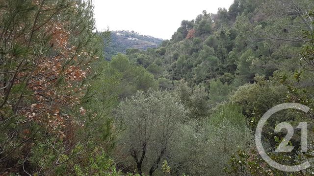 Afficher la photo en grand terrain à vendre - 3764.0 m2 - COLOMARS - 06 - PROVENCE-ALPES-COTE-D-AZUR - Century 21 Lafage Transactions