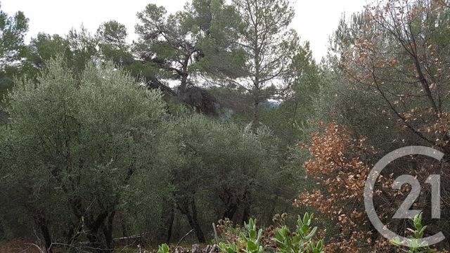 Afficher la photo en grand terrain à vendre - 3764.0 m2 - COLOMARS - 06 - PROVENCE-ALPES-COTE-D-AZUR - Century 21 Lafage Transactions