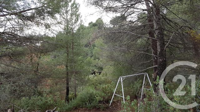 Afficher la photo en grand terrain à vendre - 3764.0 m2 - COLOMARS - 06 - PROVENCE-ALPES-COTE-D-AZUR - Century 21 Lafage Transactions