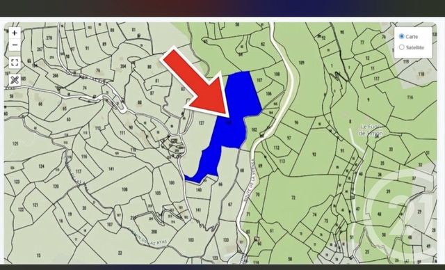 terrain à vendre - 14083.0 m2 - CONTES - 06 - PROVENCE-ALPES-COTE-D-AZUR - Century 21 Lafage Transactions
